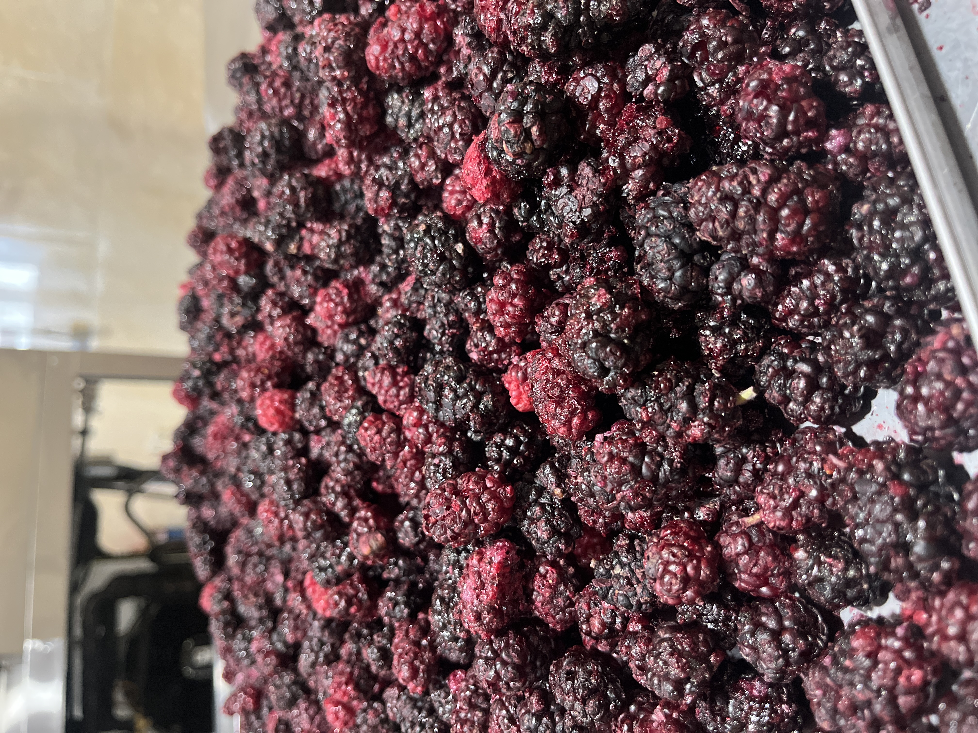 شاتوت بصورت فله ۱ کیلویی و نیم‌کیلویی